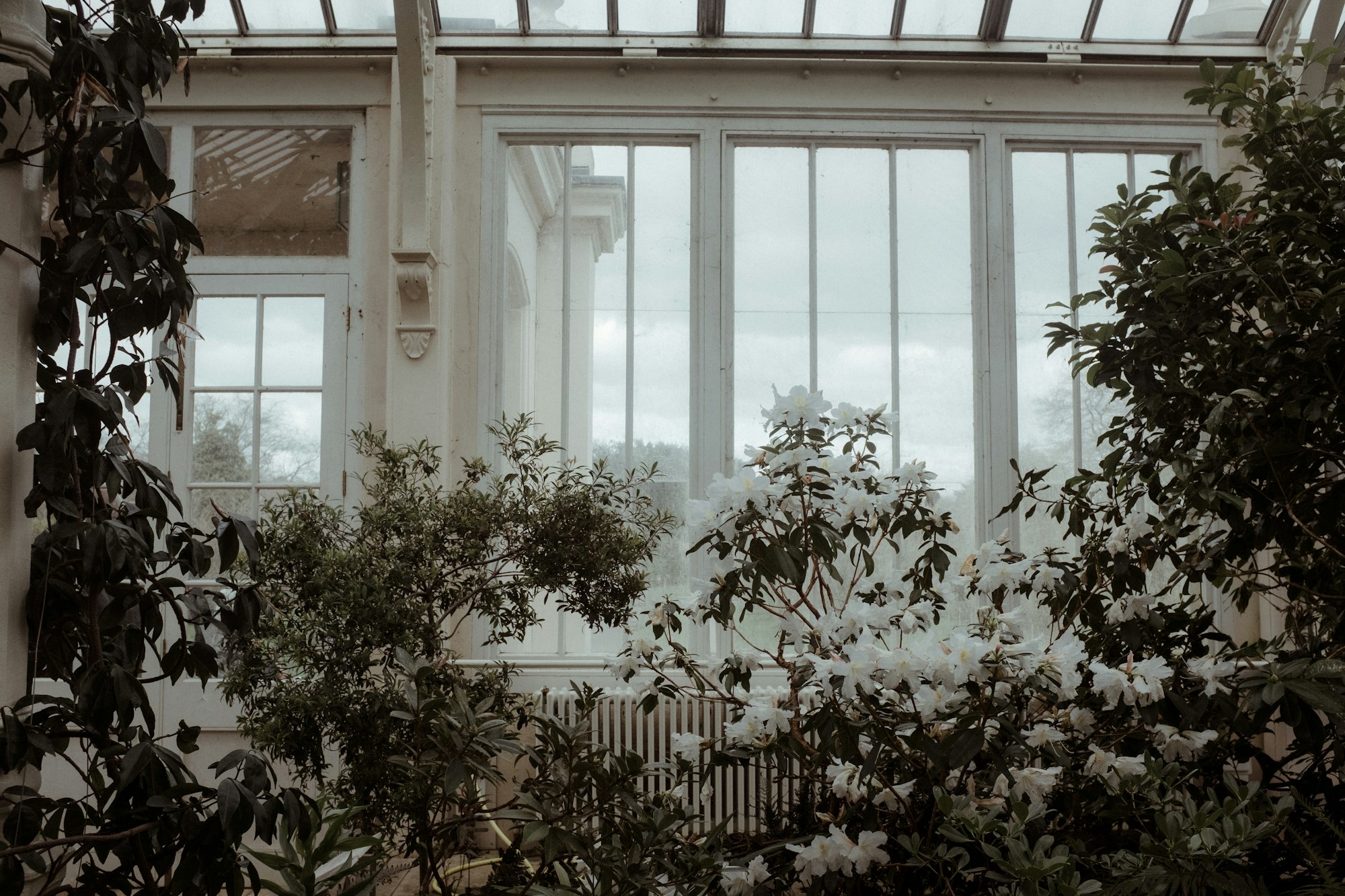 Plant-filled glazed conservatory interior