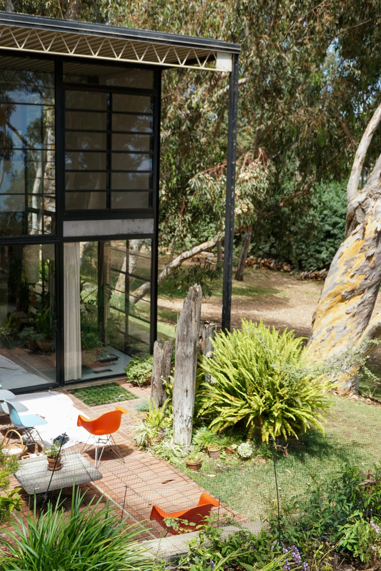 Steel-framed glass garden pavilion among mature planting