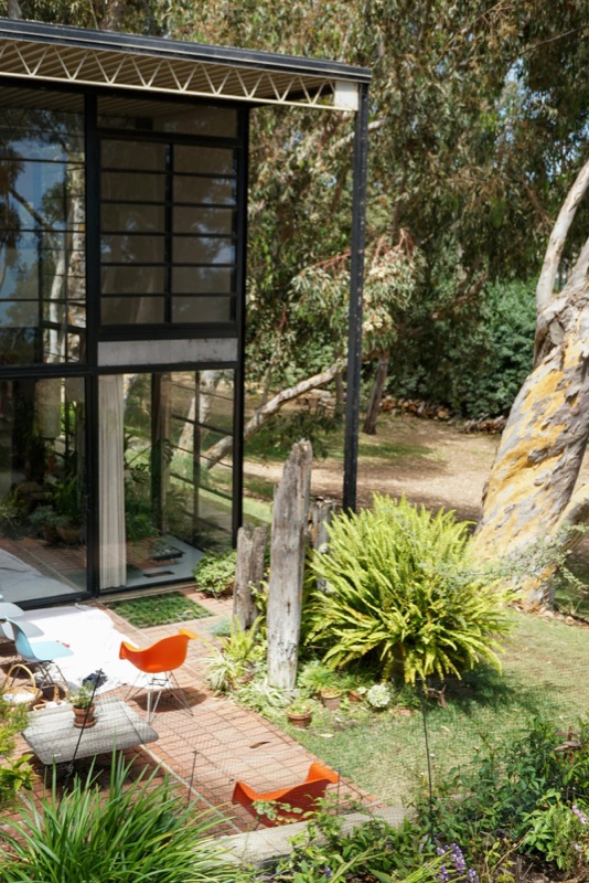 Steel-framed glass garden pavilion among mature planting